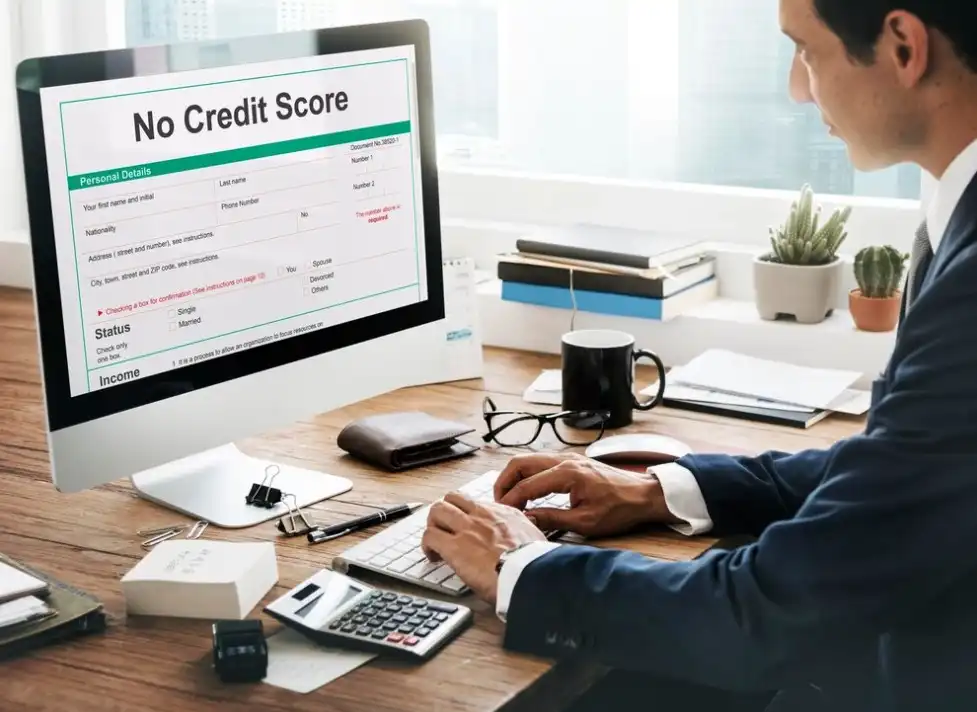 Credit-scoring-software